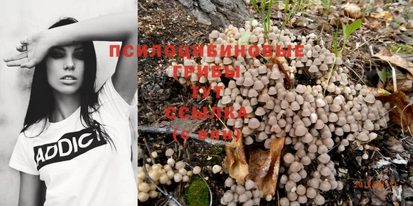 дурь Богданович